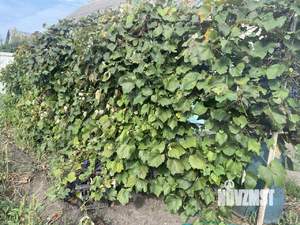 Дом 120м², 2-этажный, на длительный срок, 