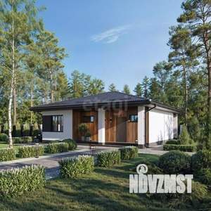 Дом 95м&sup2;, 1-этажный, участок 10 сот.  