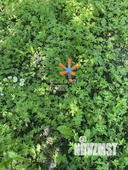 Дом 30м&sup2;, 2-этажный, участок 5 сот.  