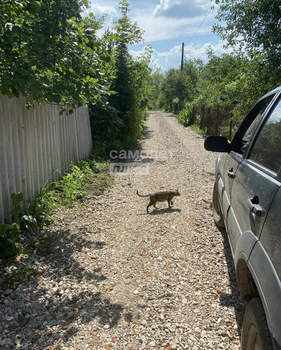 Дом 30м&sup2;, 2-этажный, участок 5 сот.  