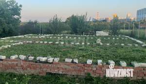 Дом 69м&sup2;, 1-этажный, участок 10 сот.  