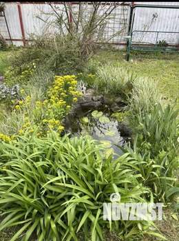 Дом 70м&sup2;, 2-этажный, участок 6 сот.  