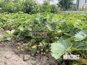 Дом 125м², 1-этажный, участок 6 сот.  