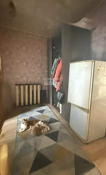 Дом 50м&sup2;, 1-этажный, участок 3 сот.  