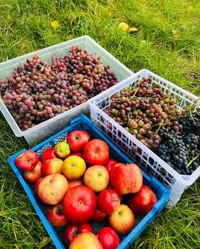 Дом 69м&sup2;, 2-этажный, участок 6 сот.  