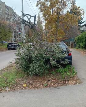 Дом 60м&sup2;, 1-этажный, участок 7 сот.  