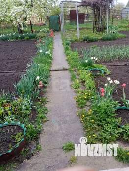 Дом 50м&sup2;, 1-этажный, участок 6 сот.  