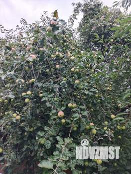 Дом 102м&sup2;, 1-этажный, участок 6 сот.  