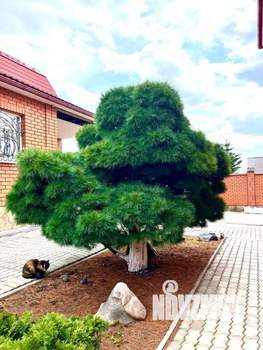 Дом 400м&sup2;, 3-этажный, участок 15 сот.  