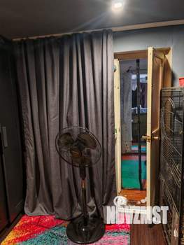 Дом 42м&sup2;, 2-этажный, участок 2 сот.  