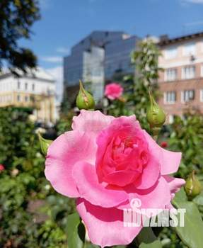 3-к квартира, вторичка, 75м2, 3/4 этаж