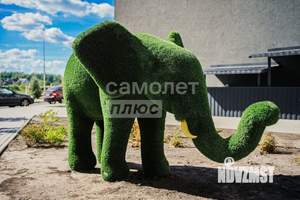 Фото квартиры на продажу (5)
