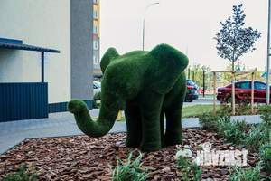 Фото квартиры на продажу (4)