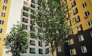 1-к квартира, вторичка, 36м2, 7/17 этаж