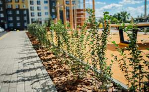 1-к квартира, вторичка, 36м2, 7/17 этаж